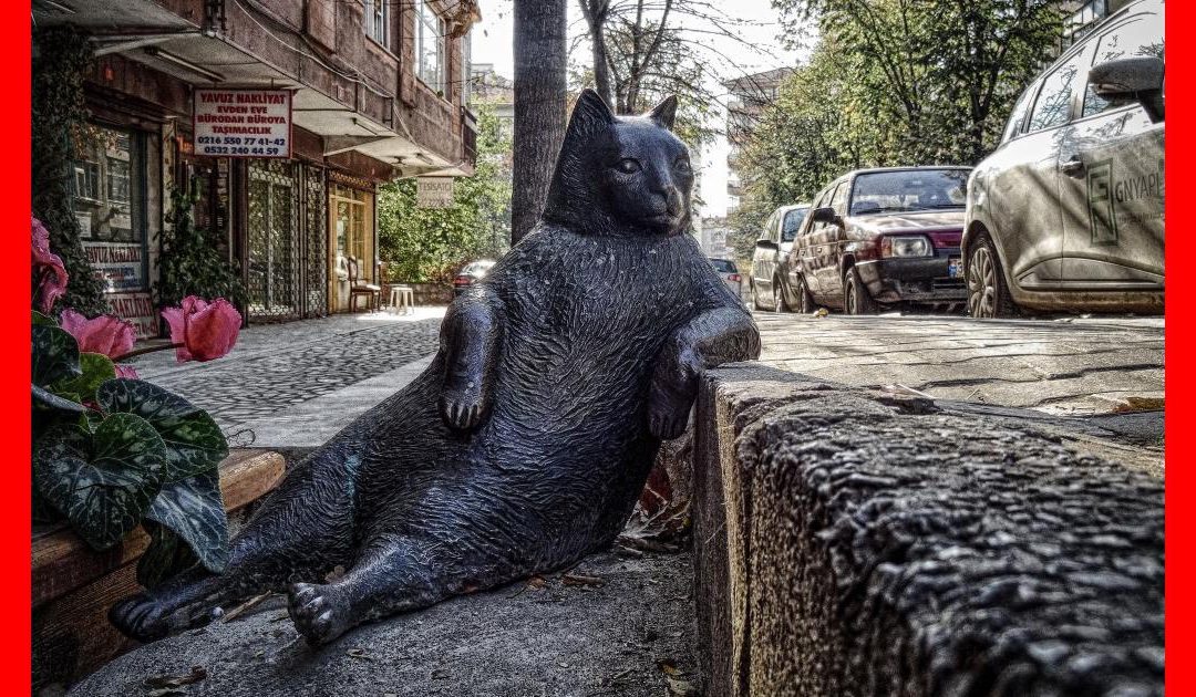 La Revolución de la Silver Economy: Cómo acceder a las 4.000 Residencias que lideran el cuidado de mayores en España